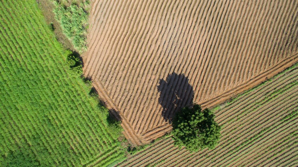 landowner lawyers